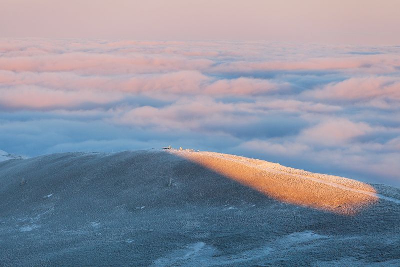winter, bieszczady, tree, forest, mountains, snow, frozen Szeroki Wierch фото превью