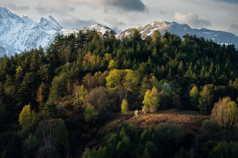 landscape, mountains, ingushetia, green, field, пейзаж, кавказ, природа, горы, ингушетия, лес Cropped by the light фото превью