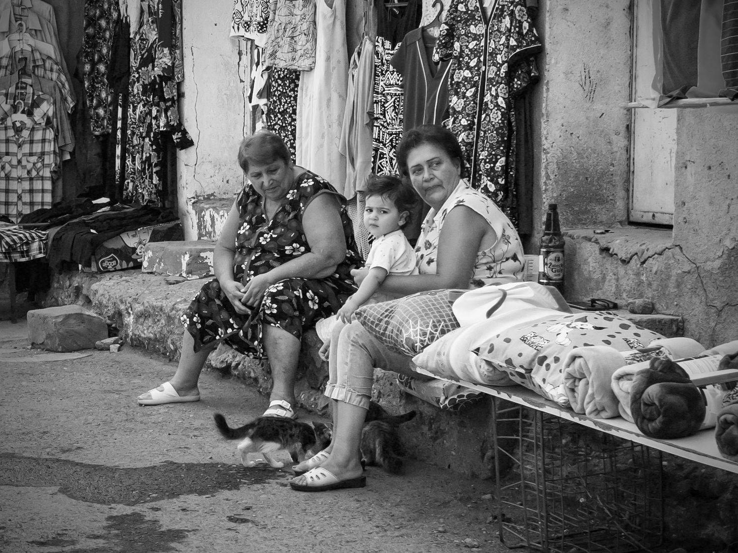 , Владислав Михайлов