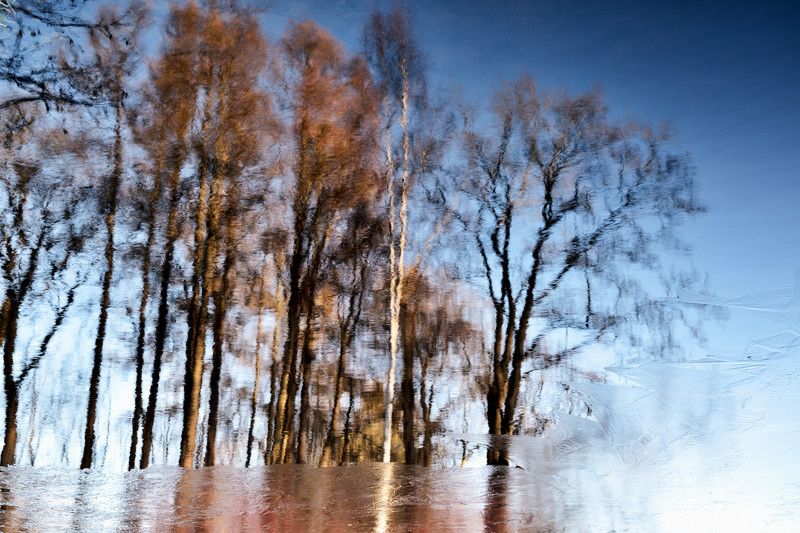 Поздняя осень фото превью