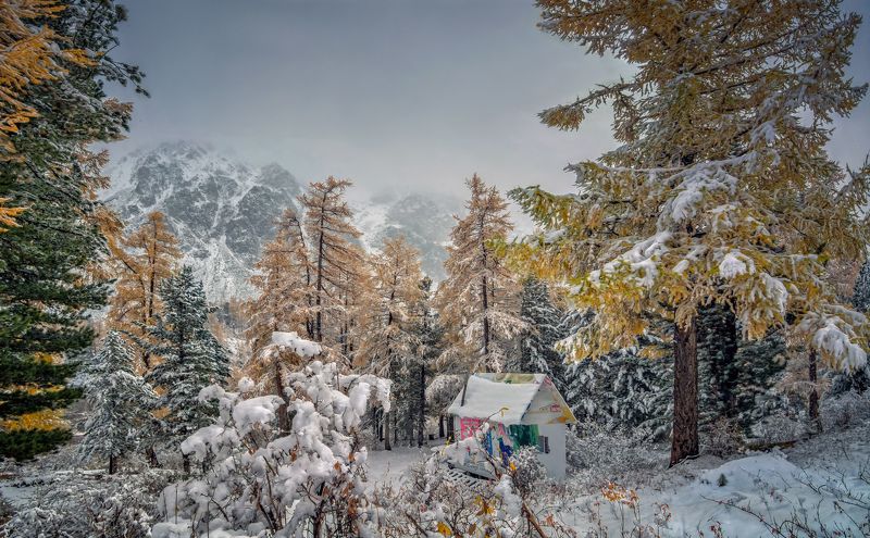 Осенний снегопад фото превью
