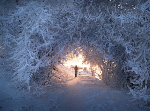 Снежное царство