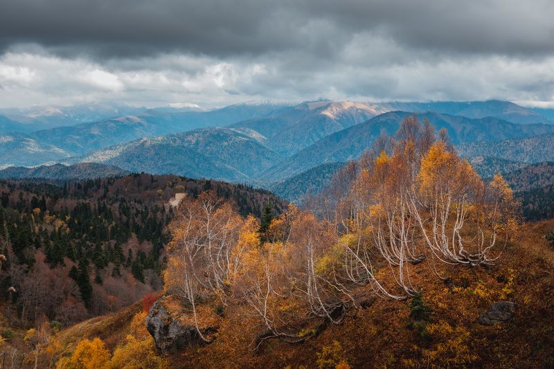 Конец золотой осени фото превью