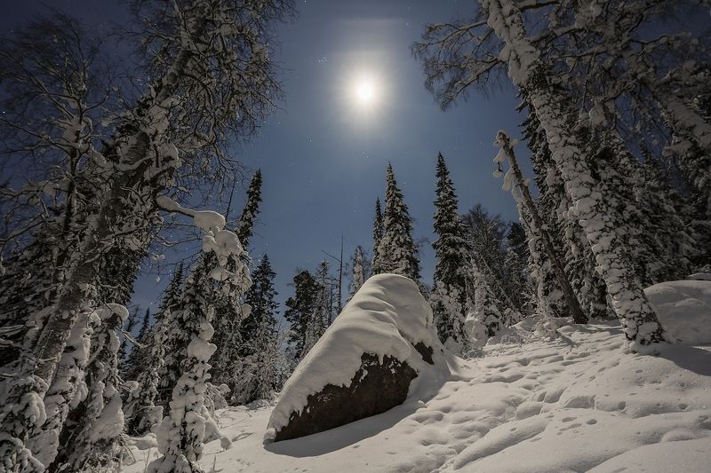 Струится лунный свет фото превью