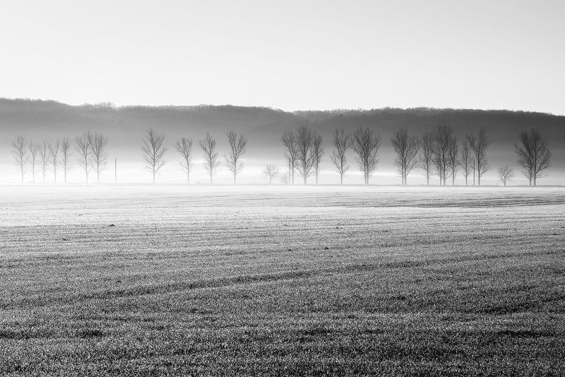 2023 фото превью