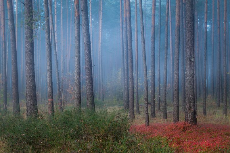 ******** фото превью