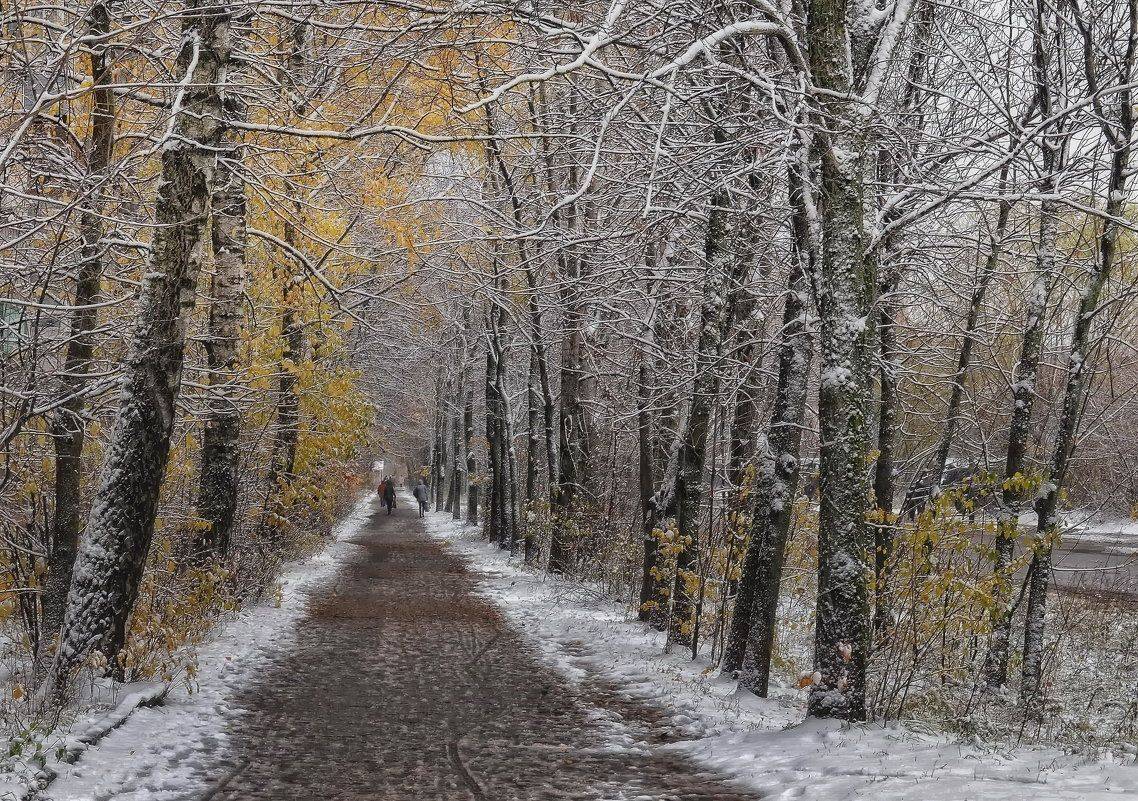 , Сергей Клапишевский