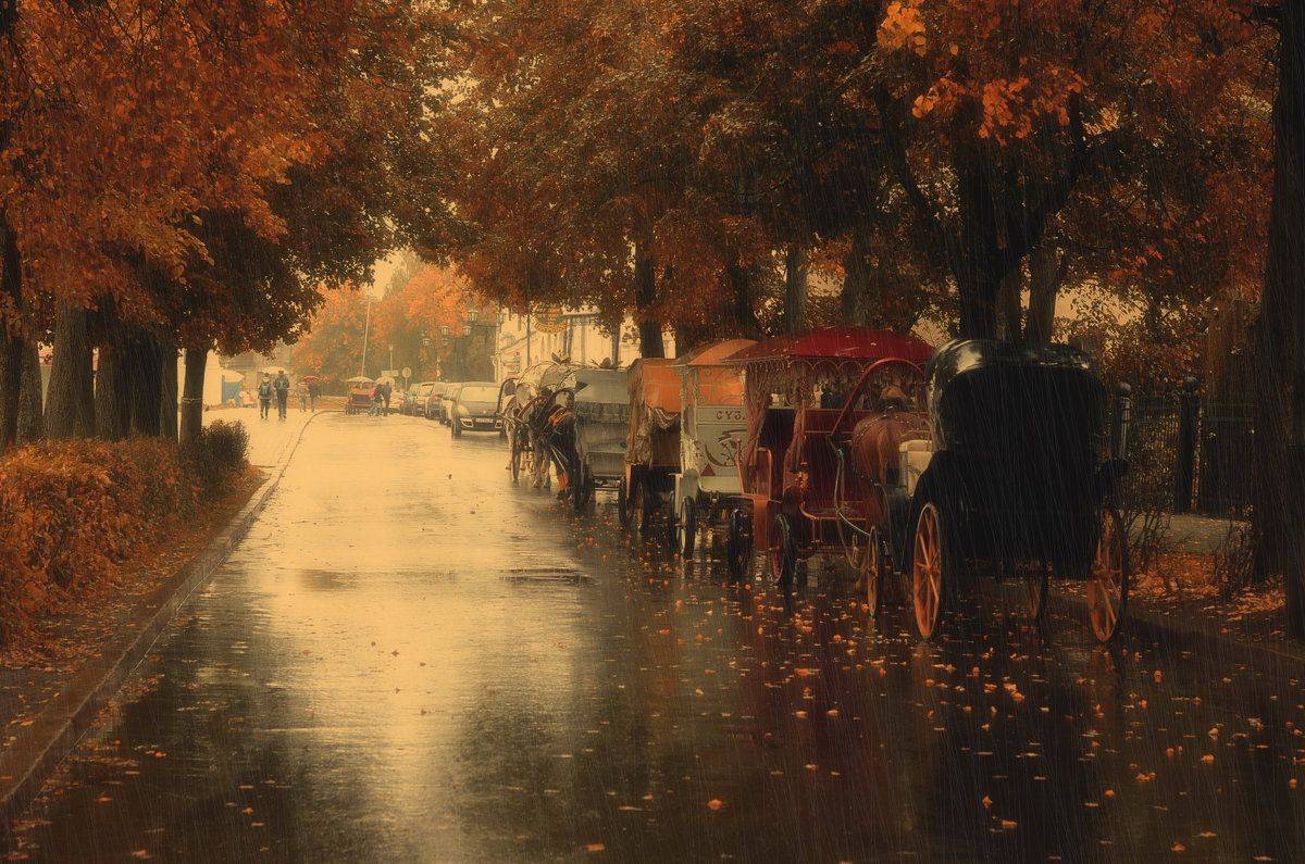 , Сергей Клапишевский