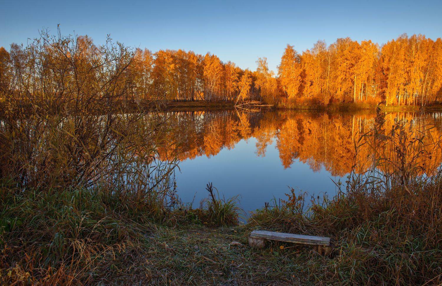, Кутыгин Эдуард