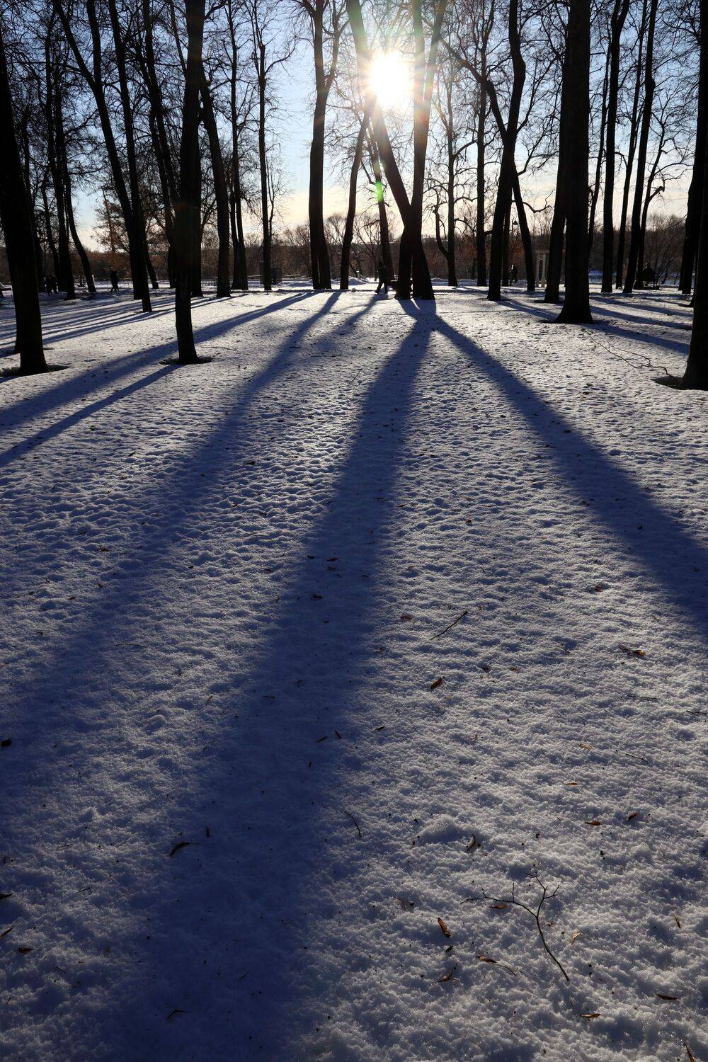 , Елена Колосова