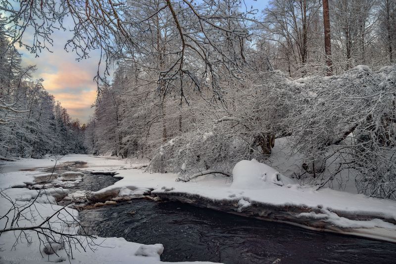линдуловская роща, ленинградская область *** фото превью