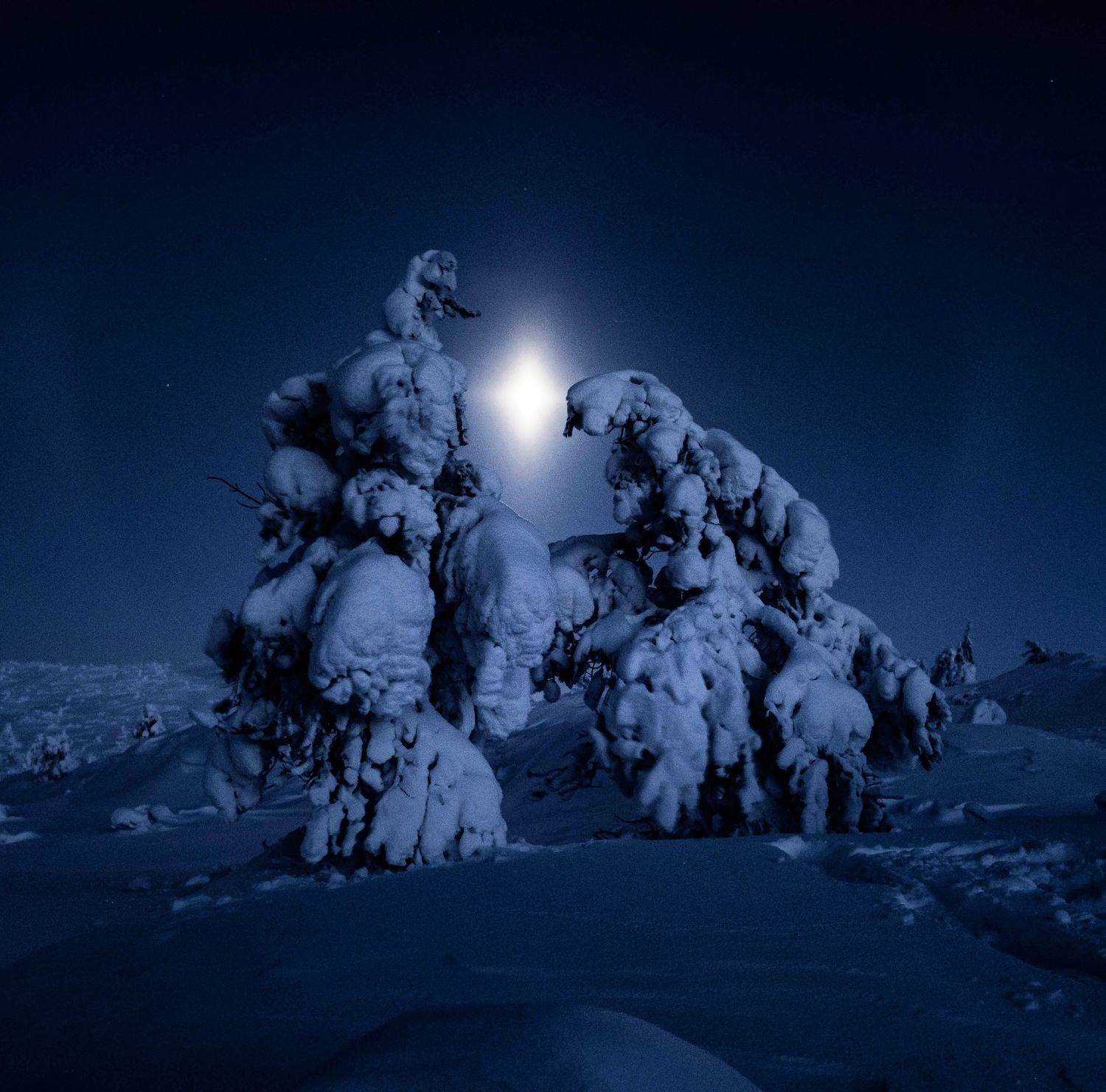 лес, пейзаж, север, сопки, Karasev Pavel