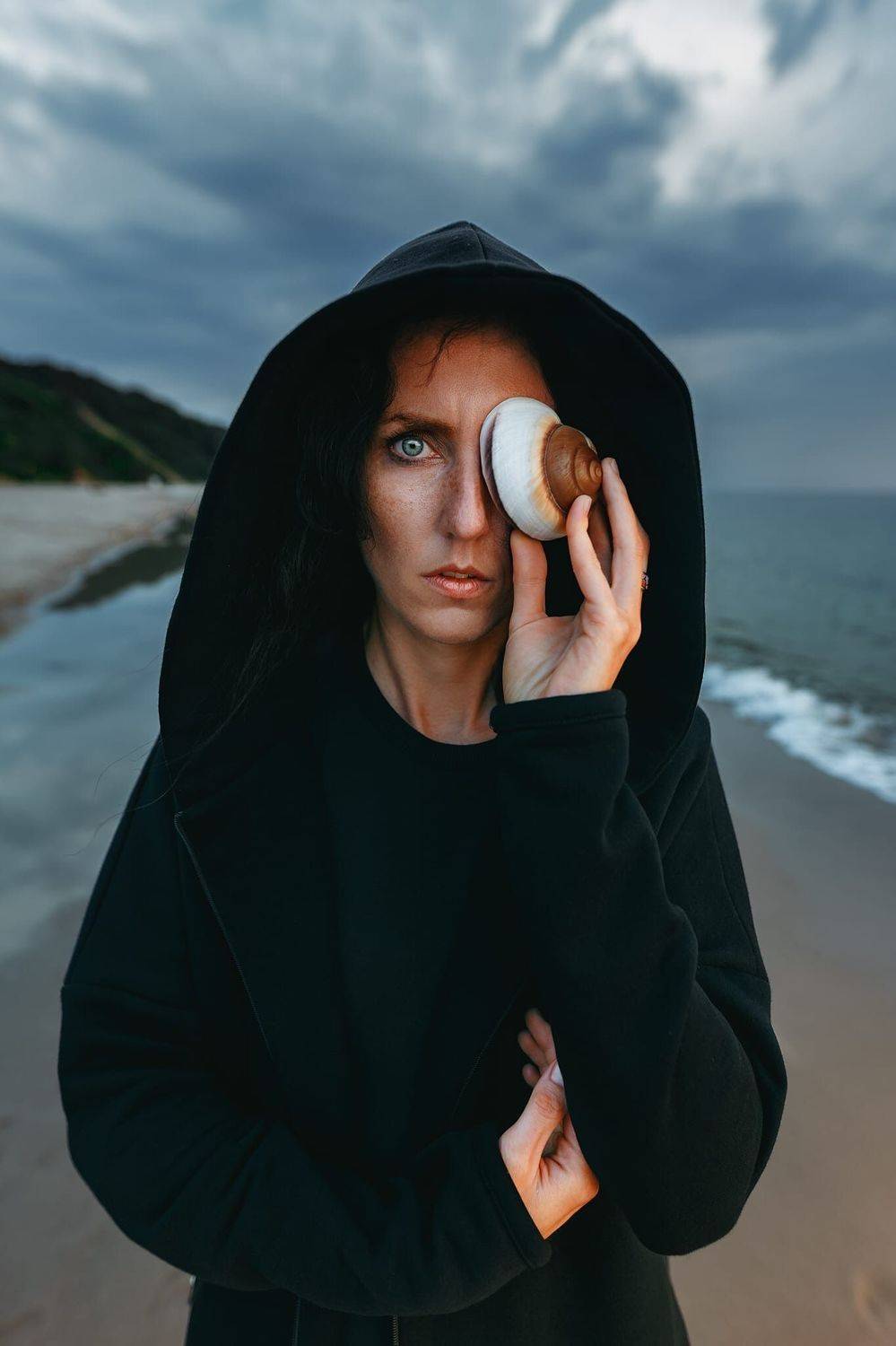 , Владимир Метельский