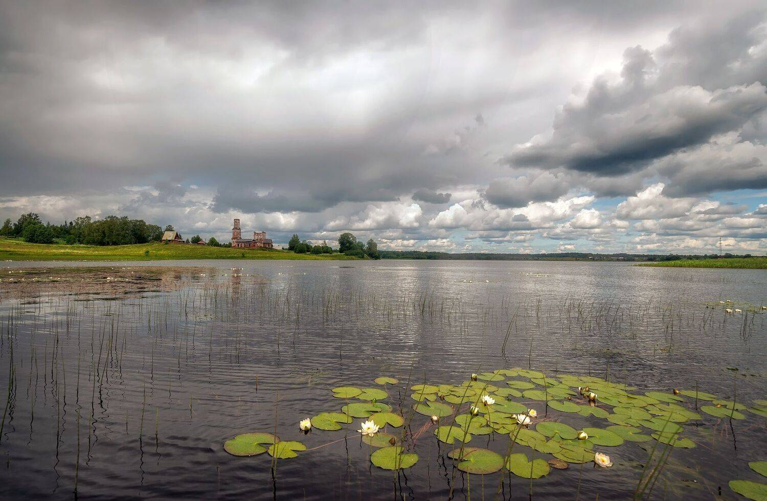Озеро, стерж, кувшинки, церковь, лето, Сергей Аникин