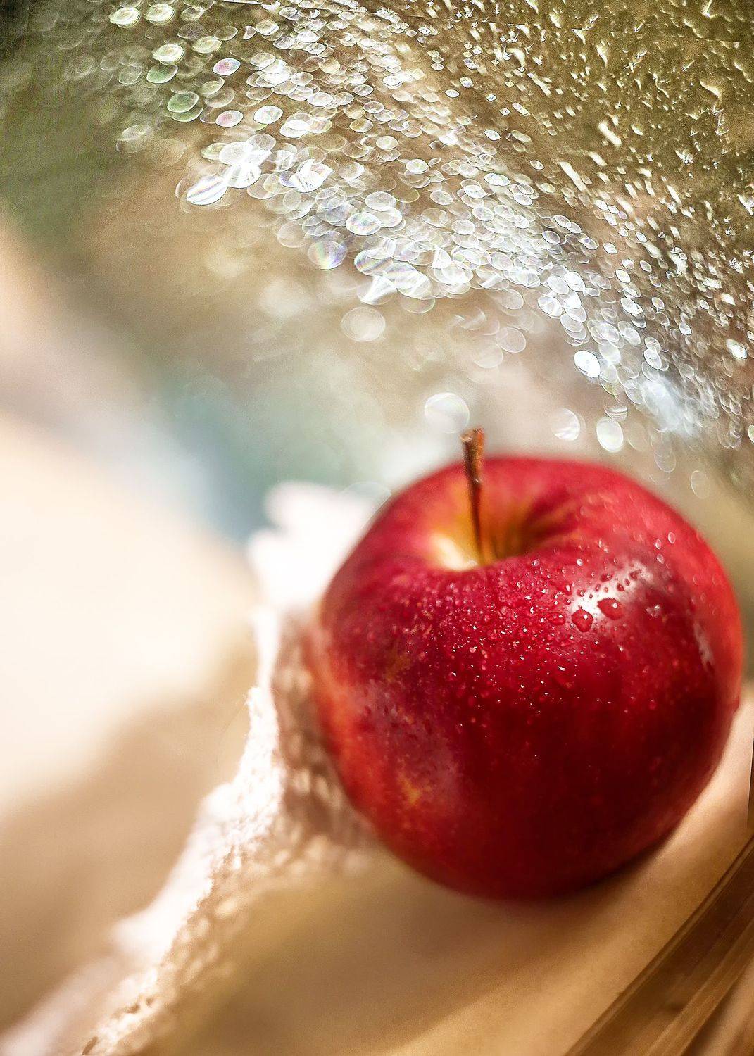 молодильное яблоко, мартынко,боке, гелиос 44, зимние зарисовки, ГОРЮКИНА ИРИНА