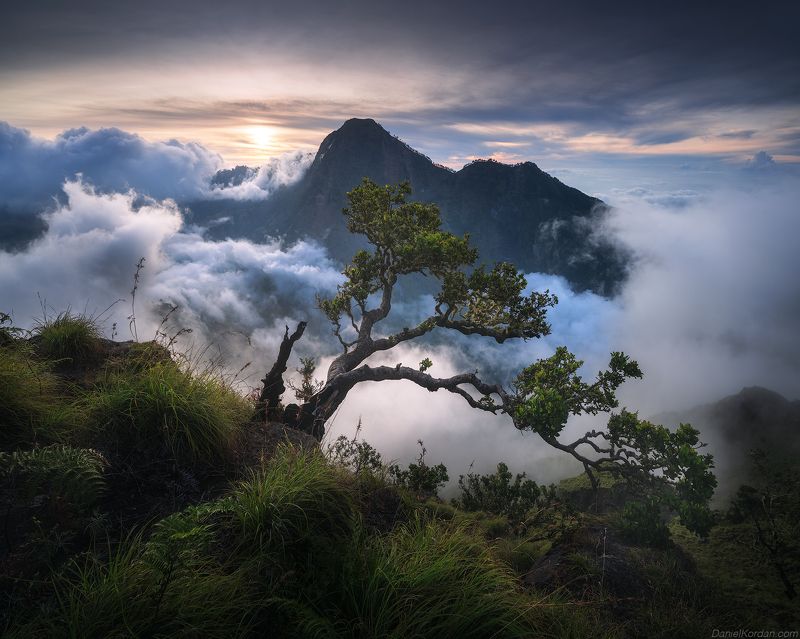 Rinjani
