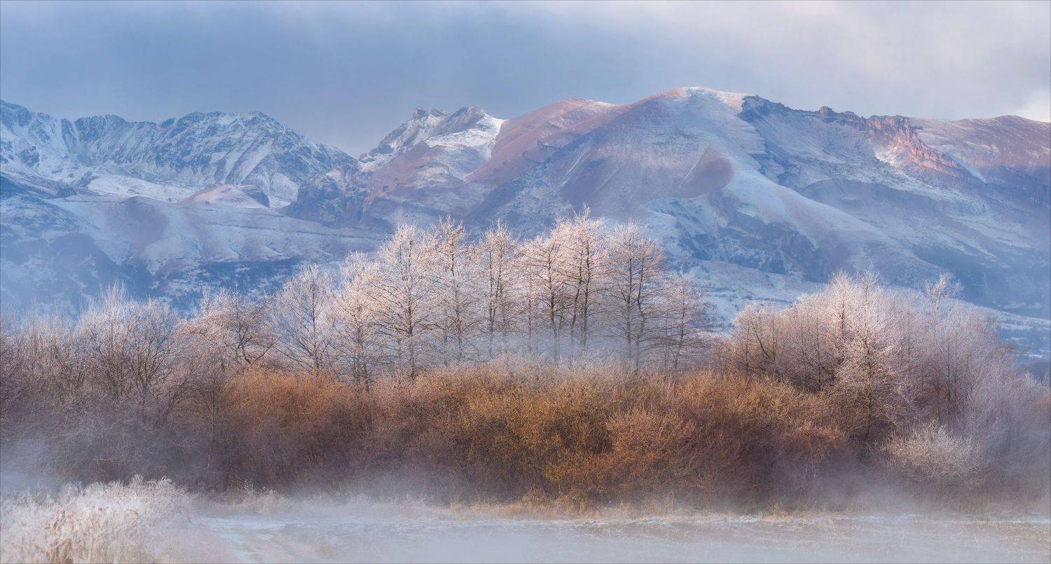, Богорянов Алексей