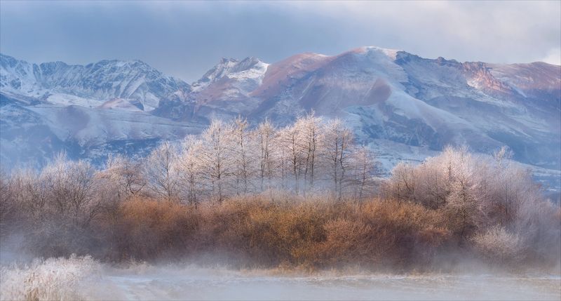 *** фото превью