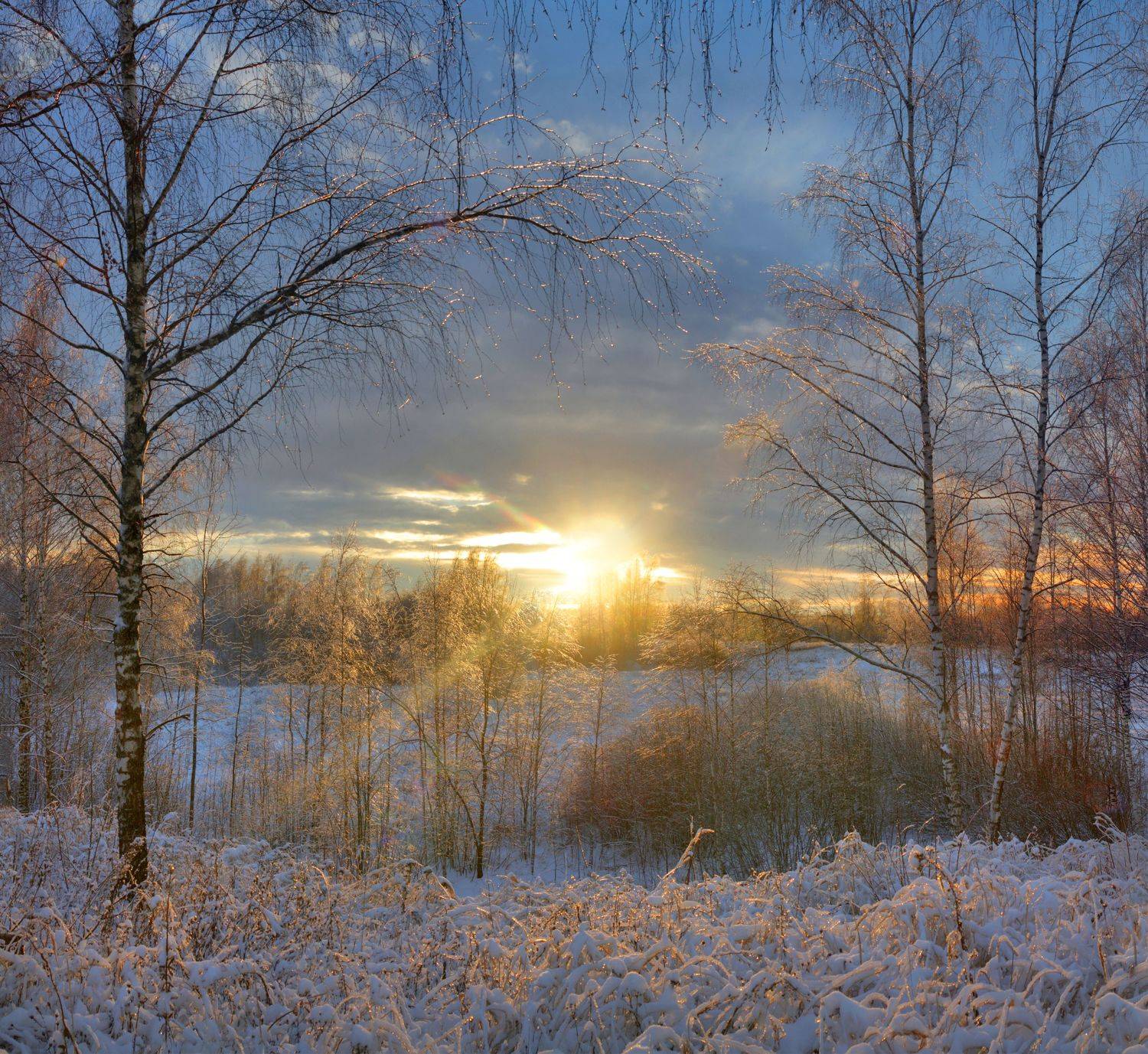 зима , солнце , лес , Александр Свистков