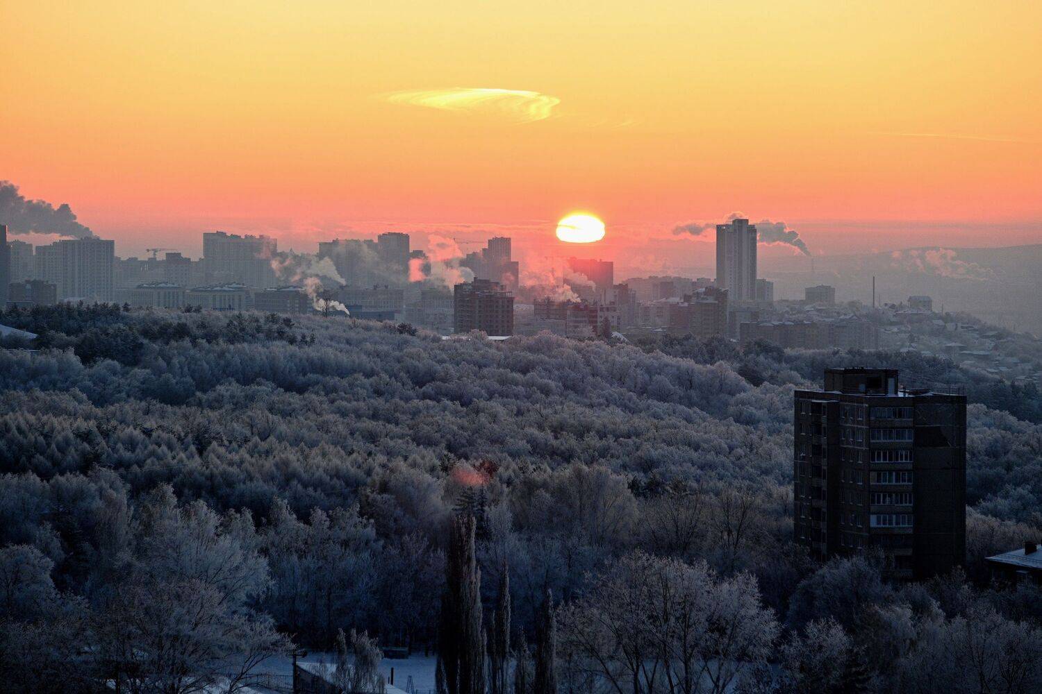 , Меднов Влад