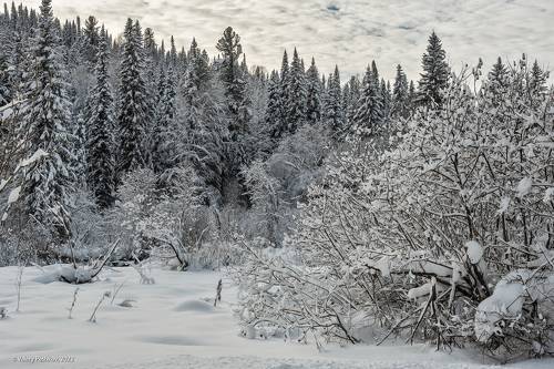 Pro снежное кружево