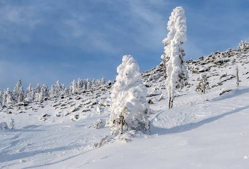Снежные парочки