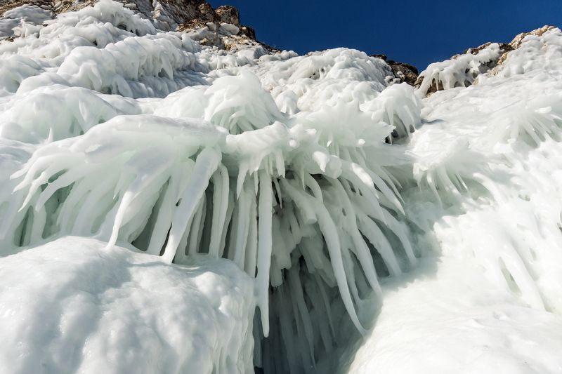 Байкальские сокуи фото превью