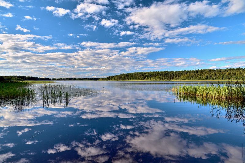 тверская область, озеро, небо, отражение, Июль фото превью