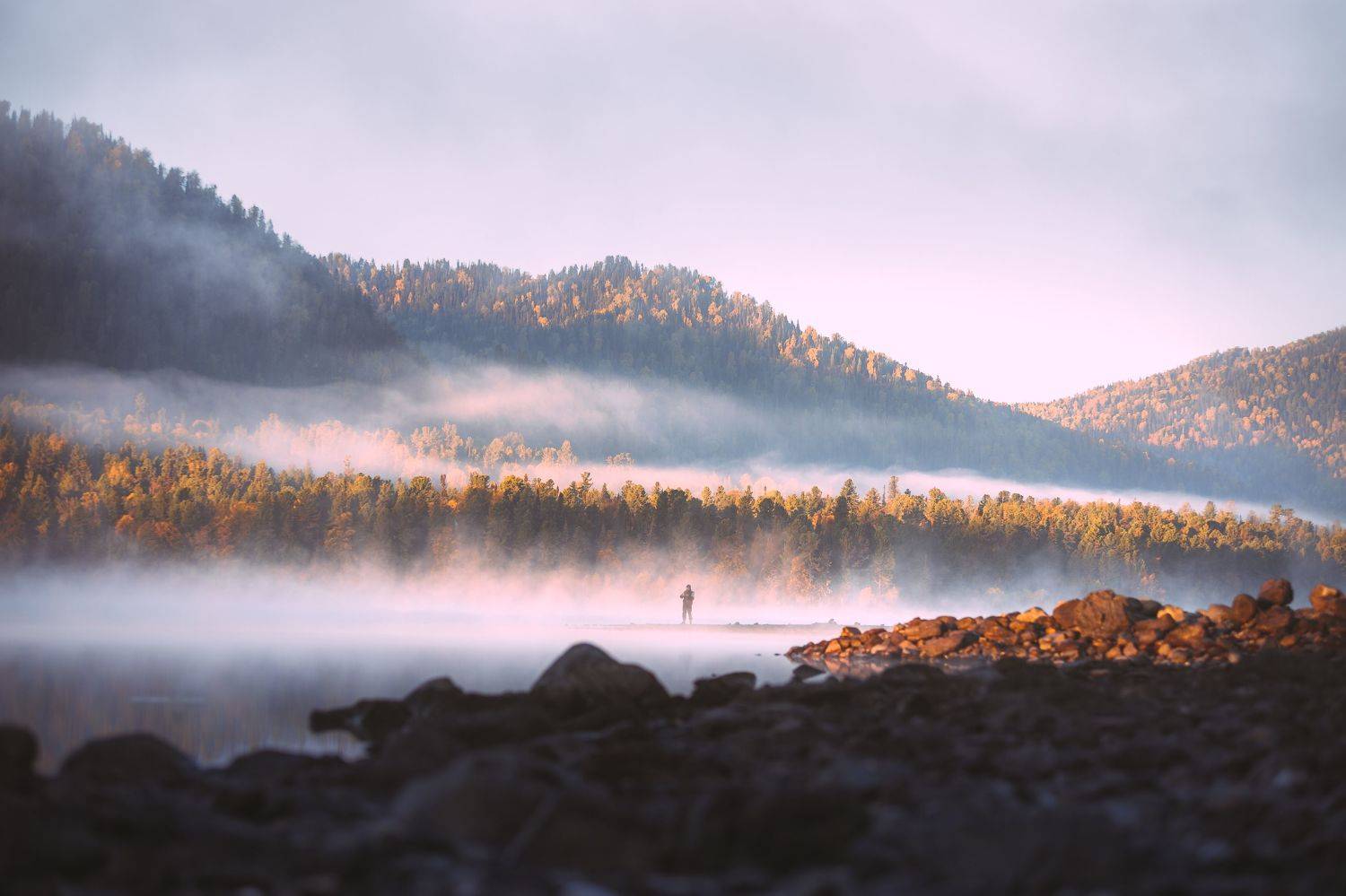 алтай, altai, пейзаж, телецкое озеро, озеро, Andrey Raspopov