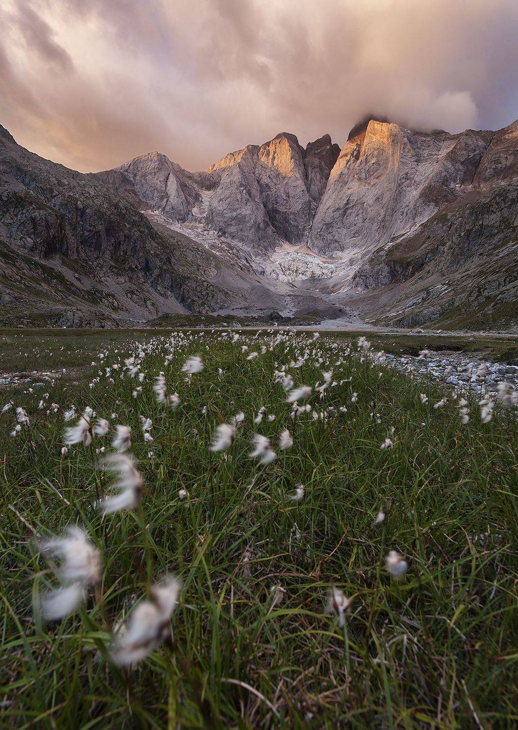 photography, mountain, spring, flower, landscape, photo, awakening, flowers, land, landmark, lands, dramatic ligth, ligth, mountains, jimenez millan samuel