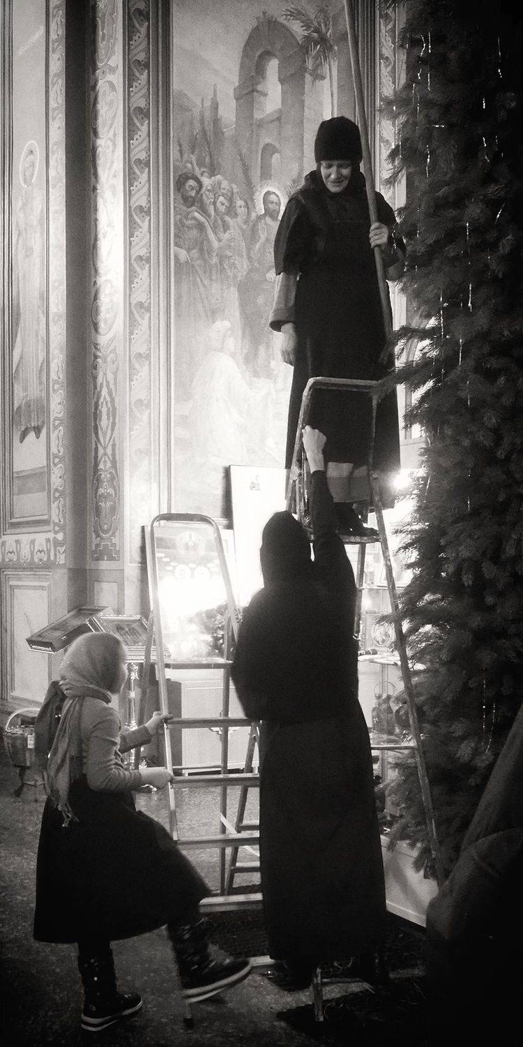 , Елена Лаврова