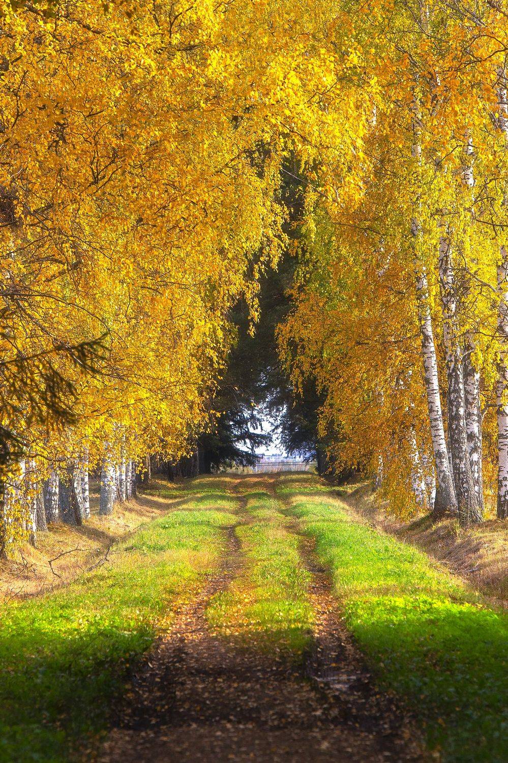 , Юрий Столыпин