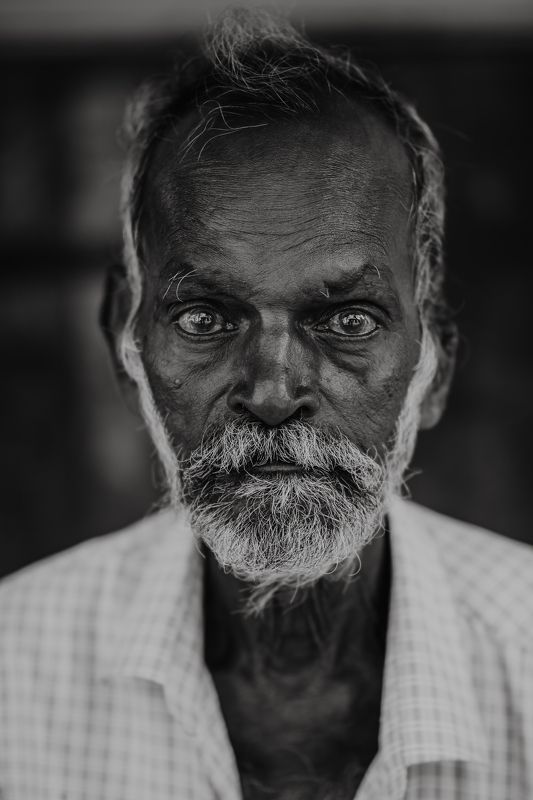 Male Portrait фото превью