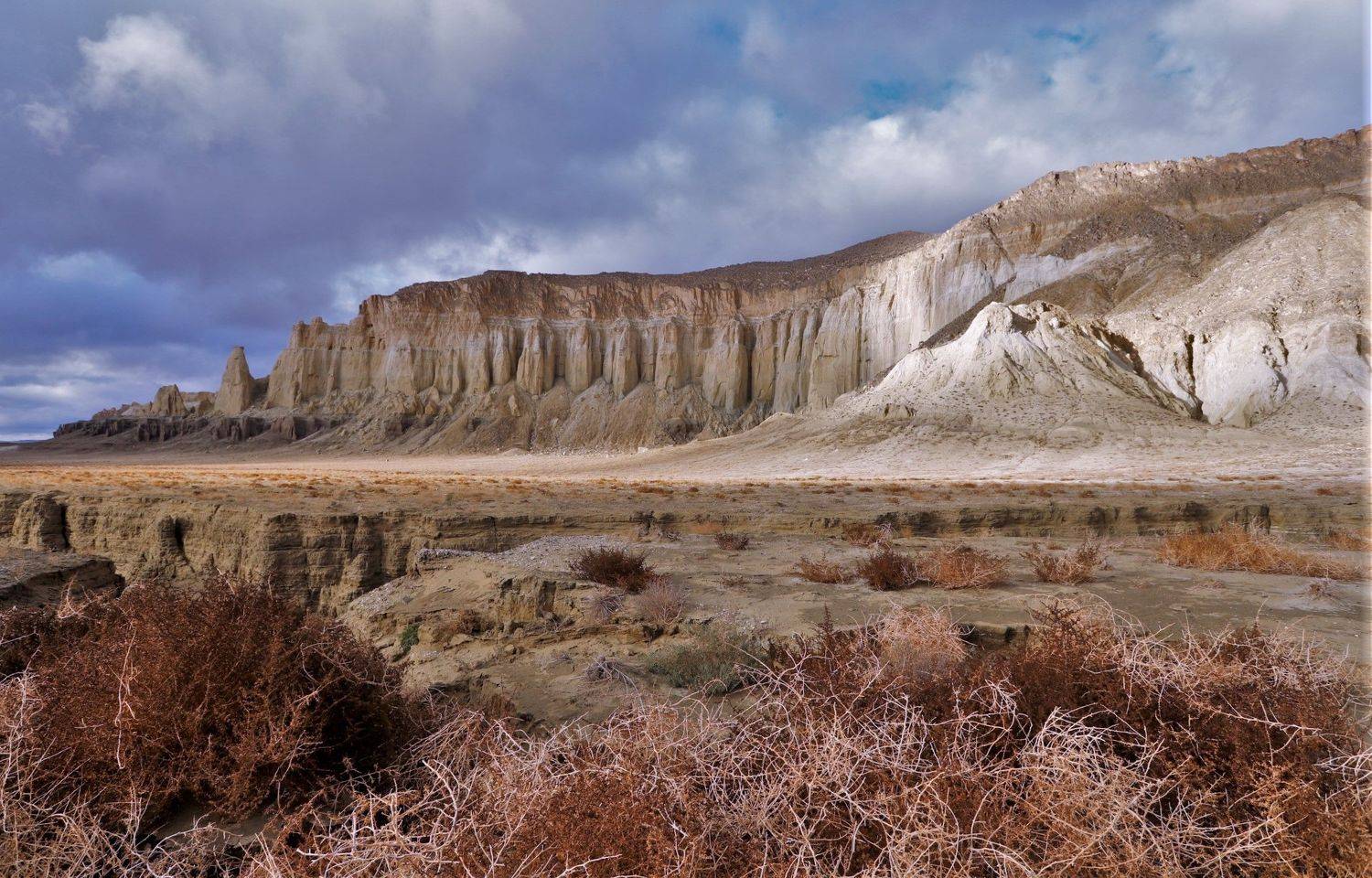 айракты шаманай, казахстан, мангистау, горы, останцы, осень, природа, пейзаж, путешествие, туризм, медовый, рыжий, коричневый, яркие краски, флора, Максимушкина Ольга