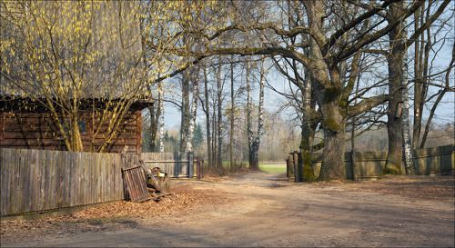 / Беловежские сюжеты /