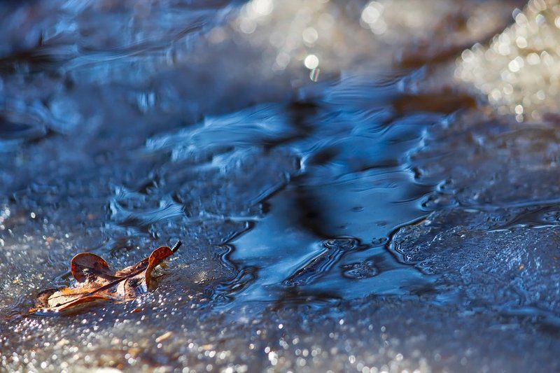 Ручейки. фото превью