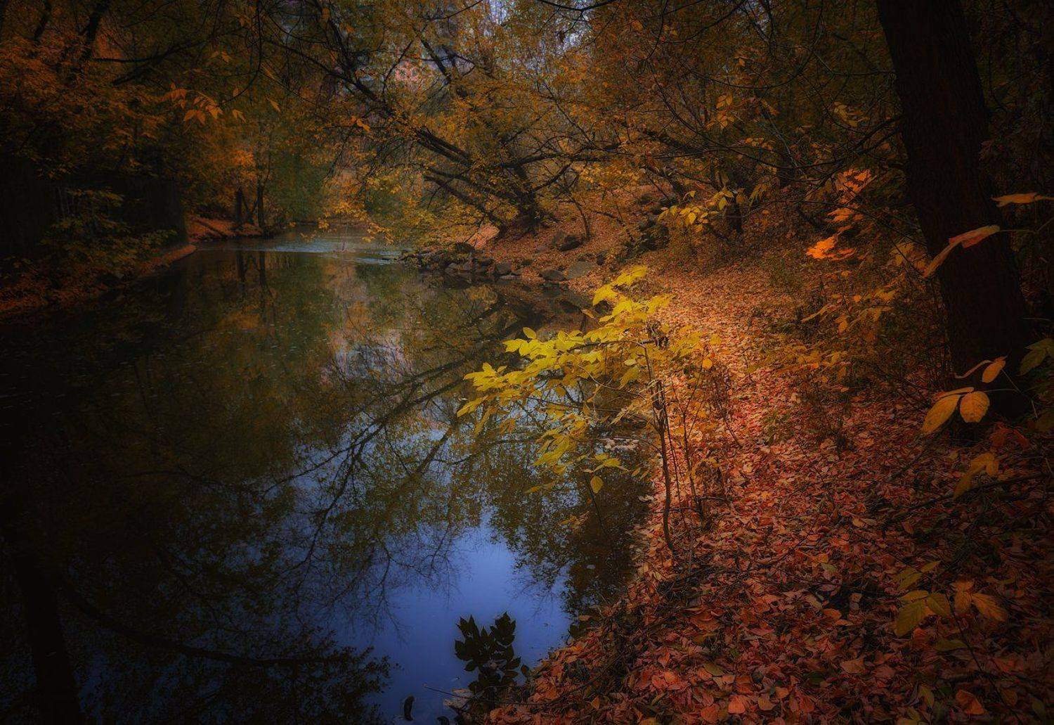 , Алексей Никонов