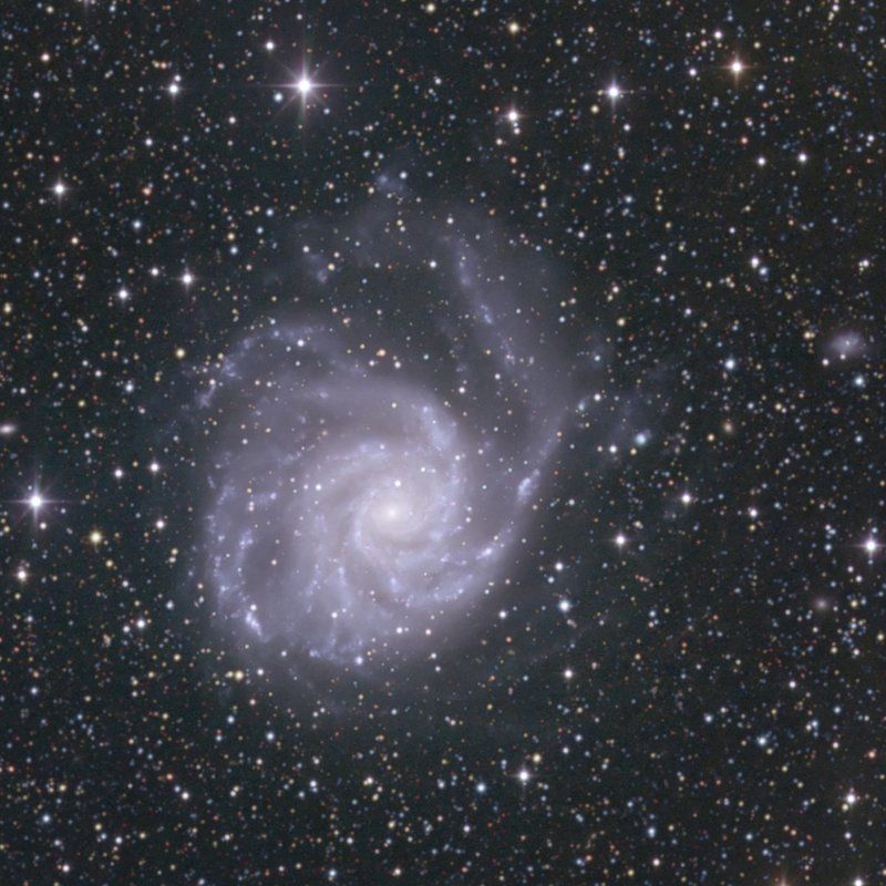 астрономия, небо, ночь, звёзды, гала M 101 фото превью