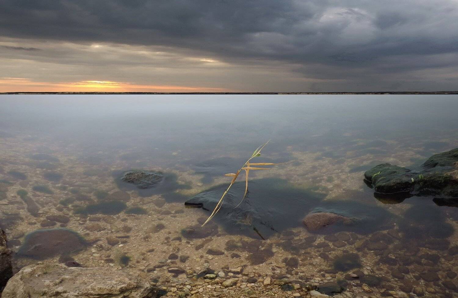 , Сергей Кошелев