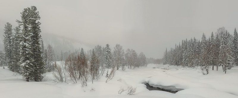 2015, Малый Казыр, Поднебесные зубья, Сибирь, Снег Планета снега фото превью