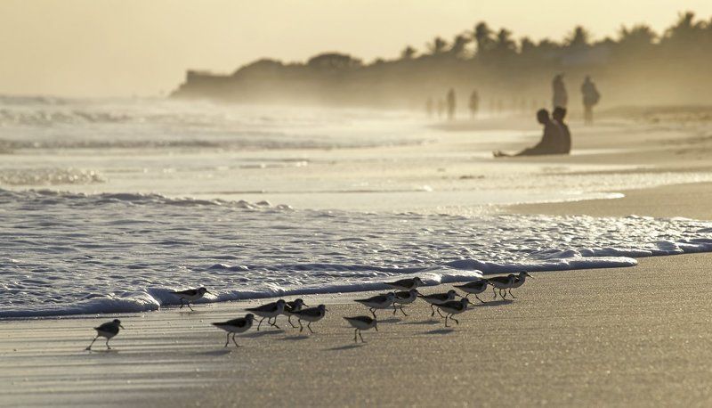 Настроение фото превью