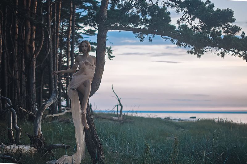 Елена фото превью
