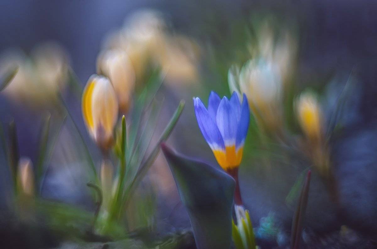 , Татьяна Аверина