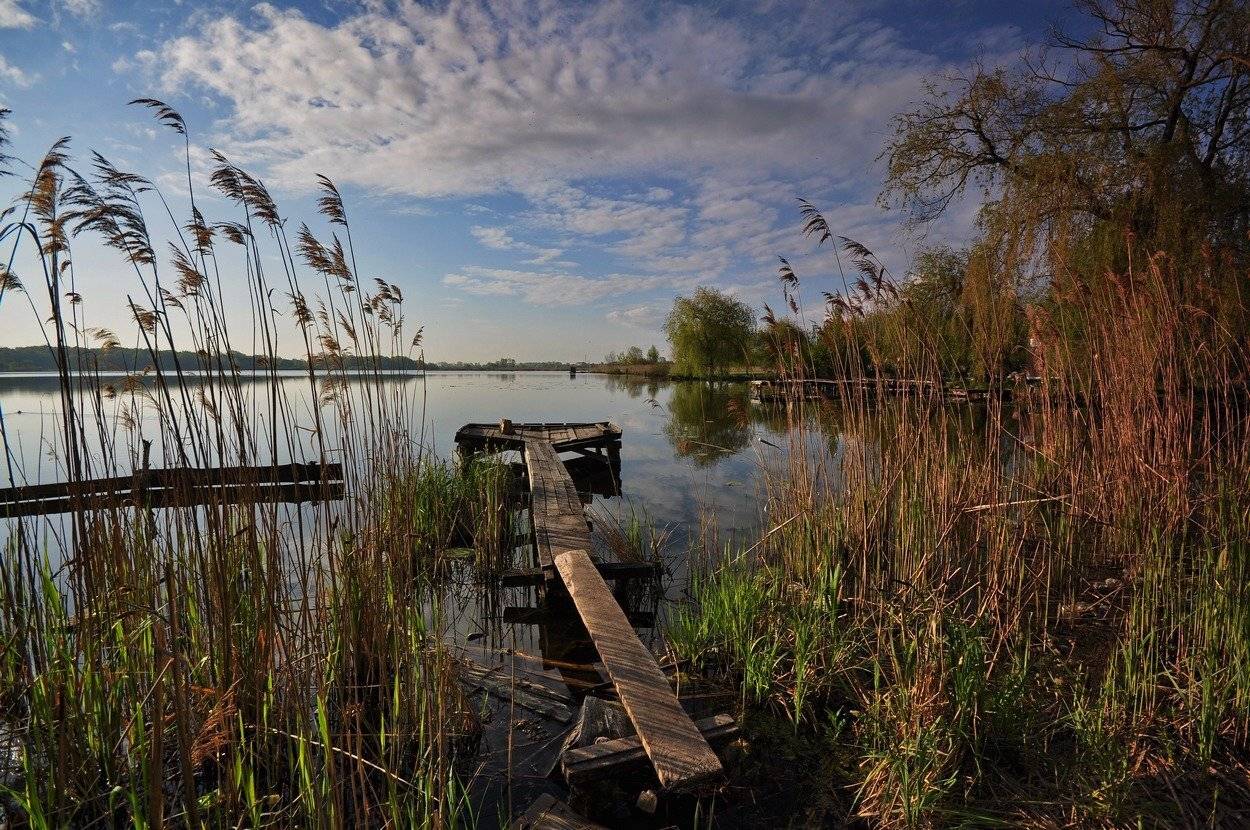 , Володимир Карчевський