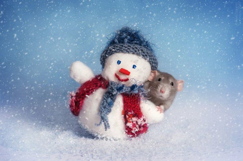 Новогодняя открытка фото превью