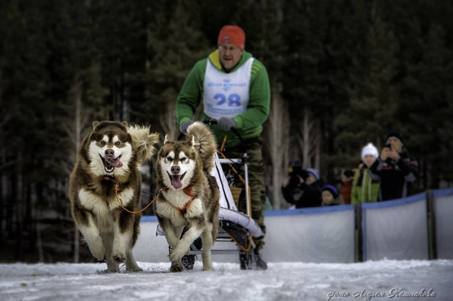 , Андрей Кашлаков