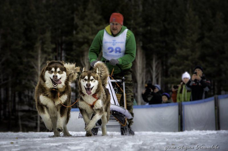 Нас не догонят? фото превью
