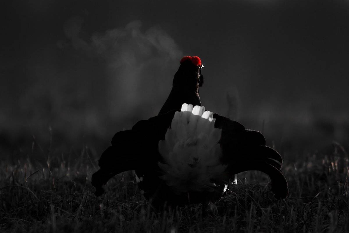 , Вилюнов Дмитрий