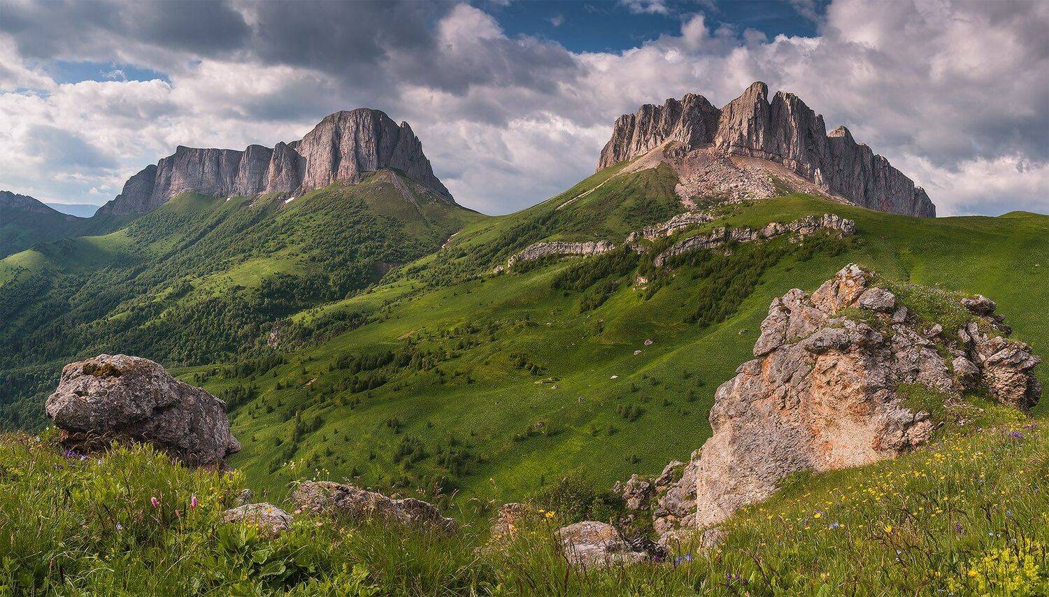 , Николай Мысливцев