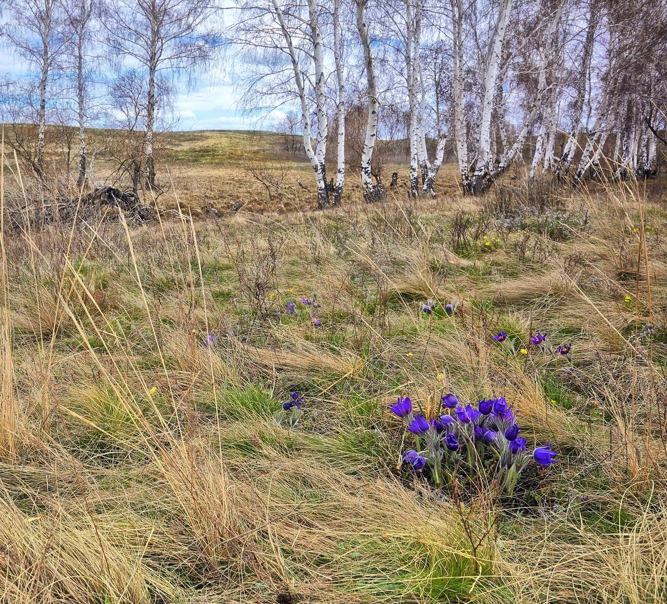 Весна, Качурин, Качурин алексей, Орск, Южный урал, Качурин Алексей
